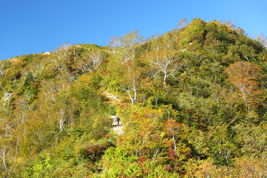 小遠見山 / 晴