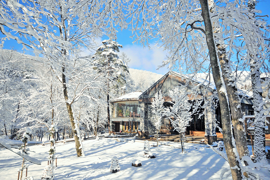 Hotel Sierra Resort Hakuba