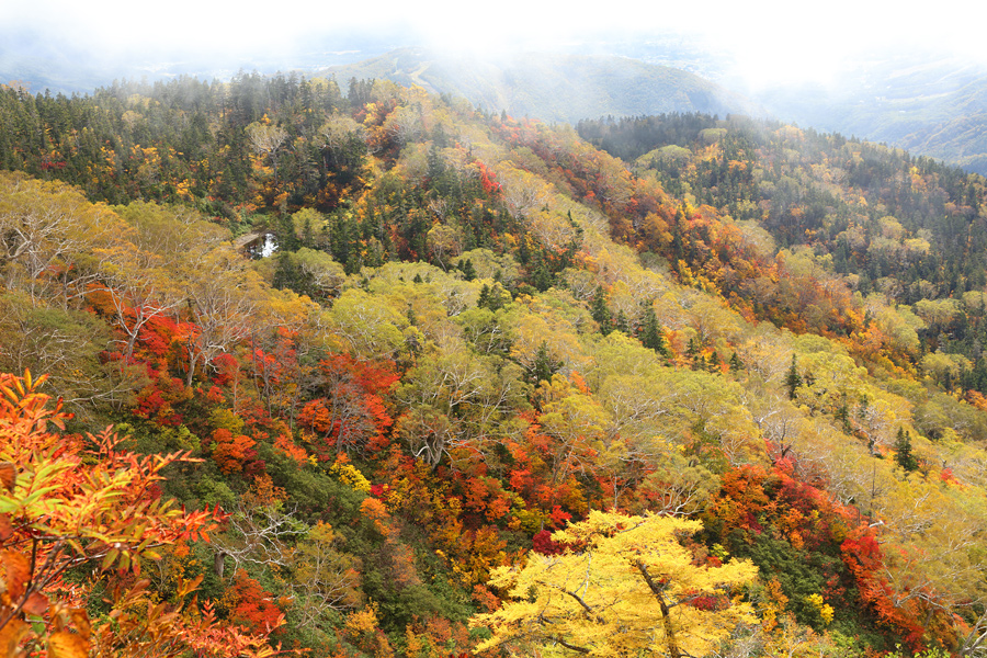 Tsugaike Nature Park / Partly Cloudy