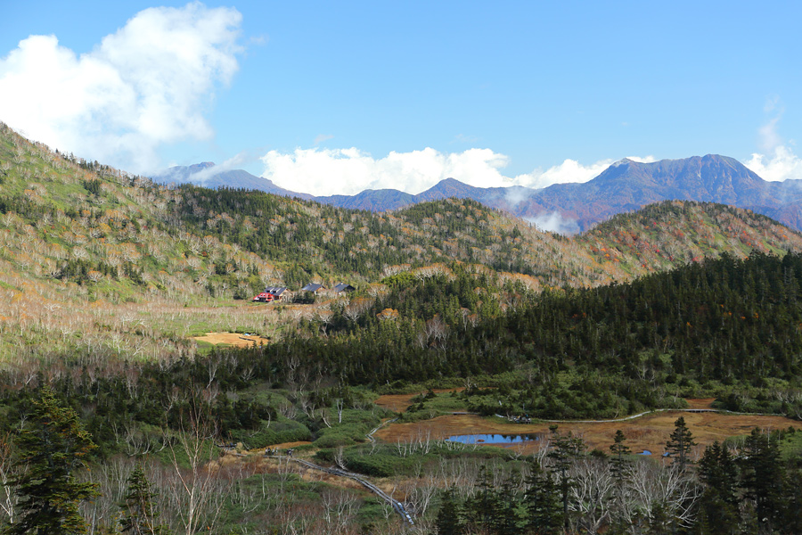 Tsugaike Nature Park / Partly Cloudy