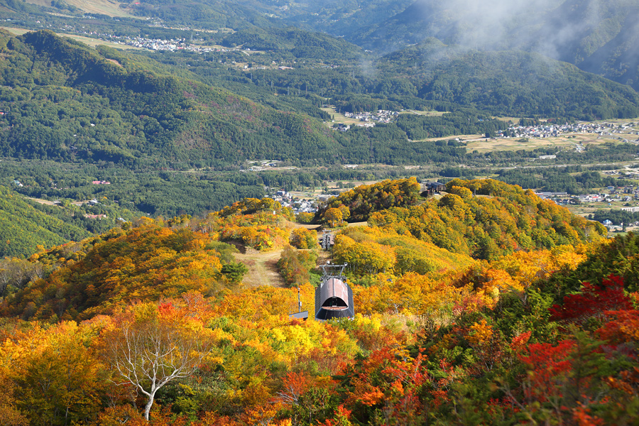 白馬山麓の紅葉（まとめ） / 晴