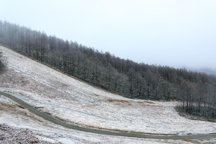 1cm / 雪