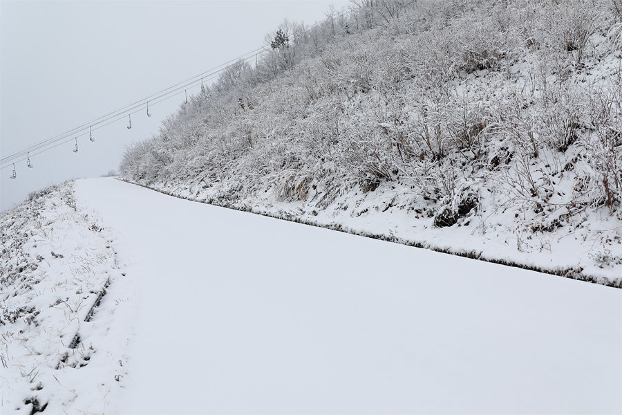 20cm / 雪