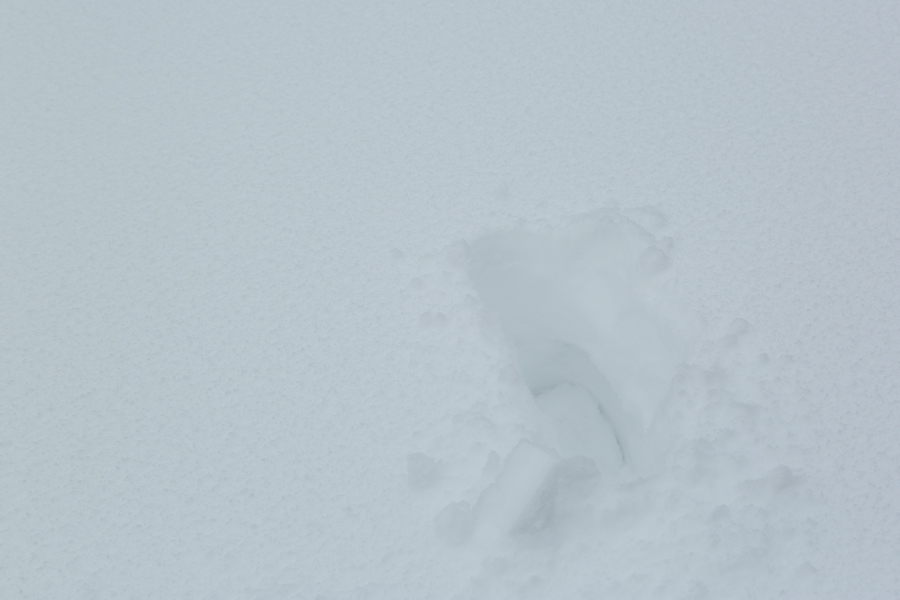 40cm / 雪