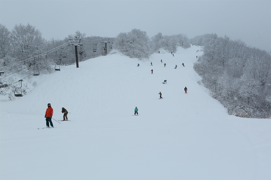 55cm / 雪