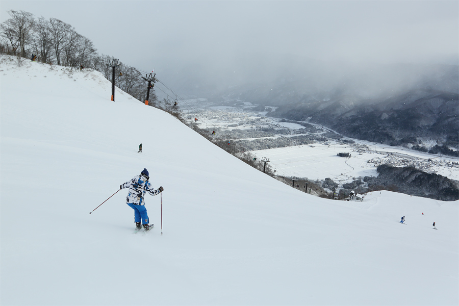 115cm / 雪