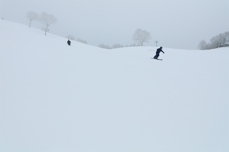 70cm / 小雪