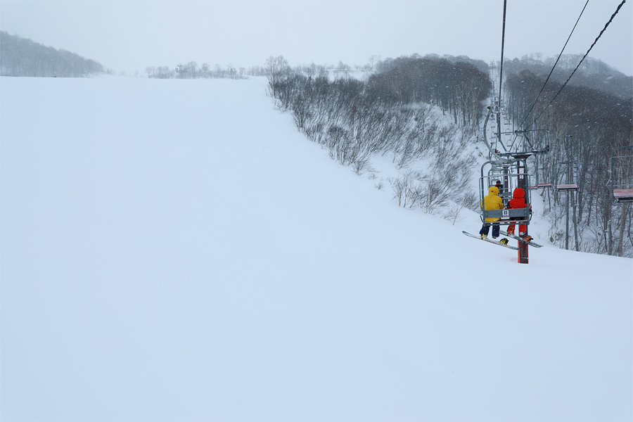 181cm / Snowy