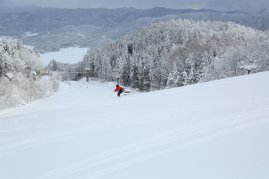 95cm / 雪曇