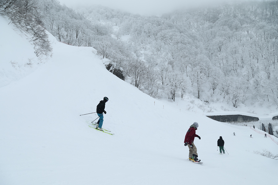 230cm / 雪