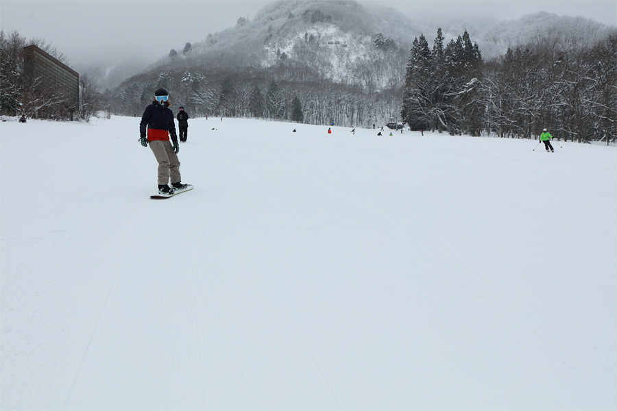 225cm / 雪