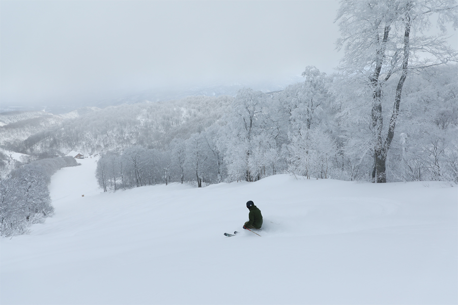 190cm / Snowy & Sunny