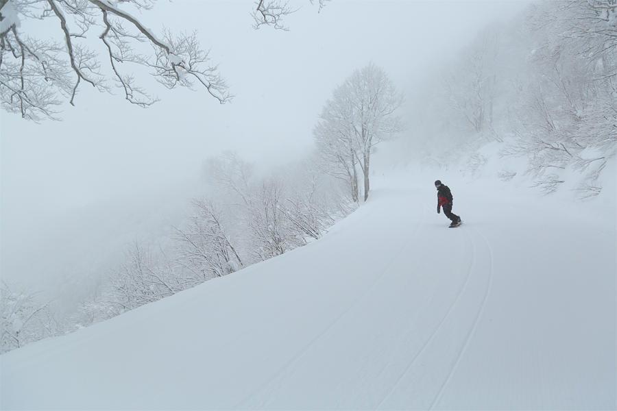 190cm / 雪