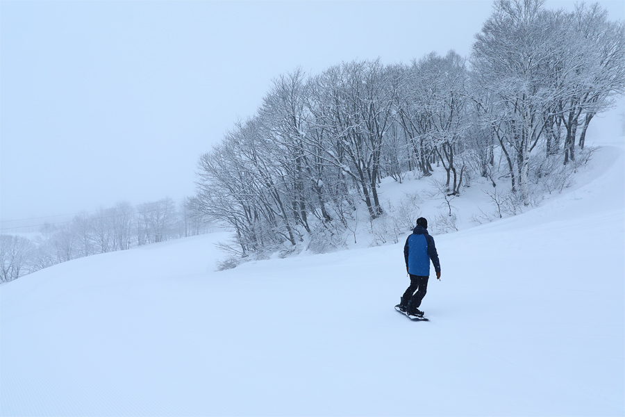 130cm / 雪