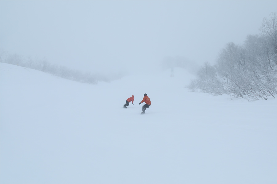 215cm / 雪