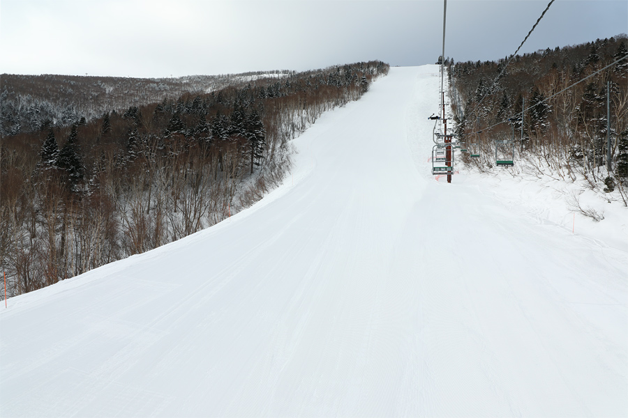 120cm / 晴雪