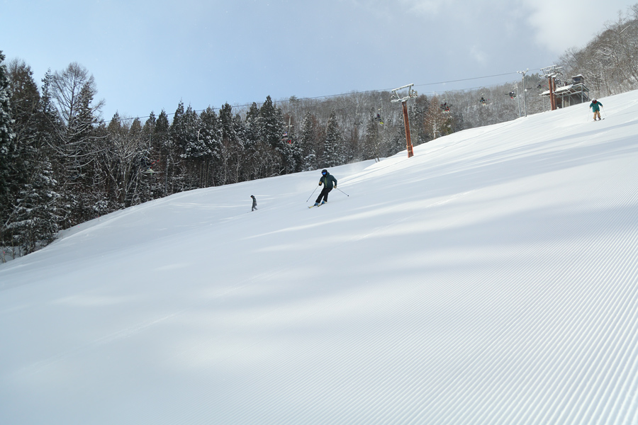 85cm / 曇雪