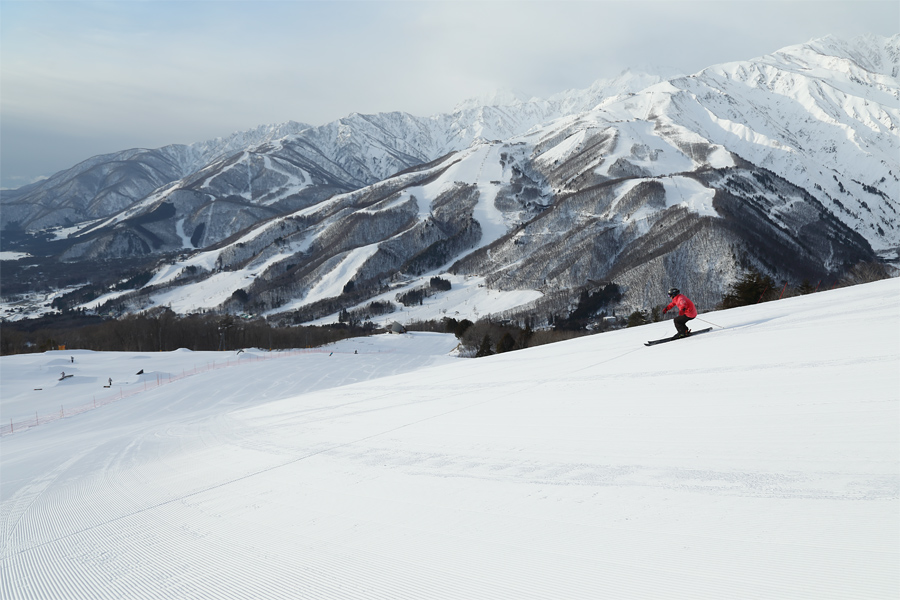 75cm / 晴雪