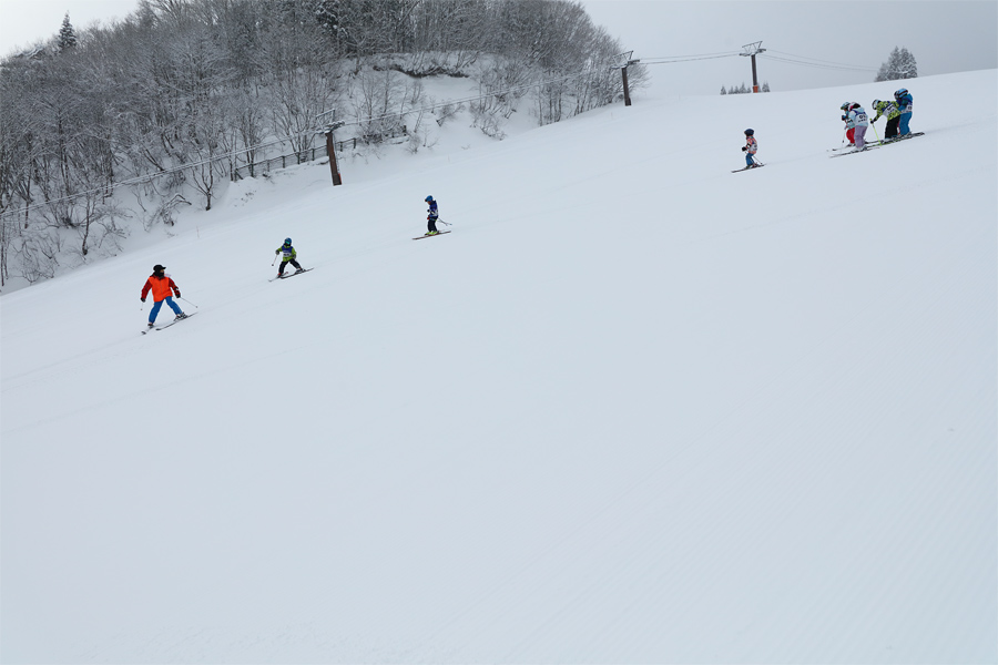 105cm / 小雪