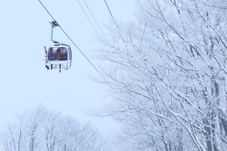 290cm / 雪