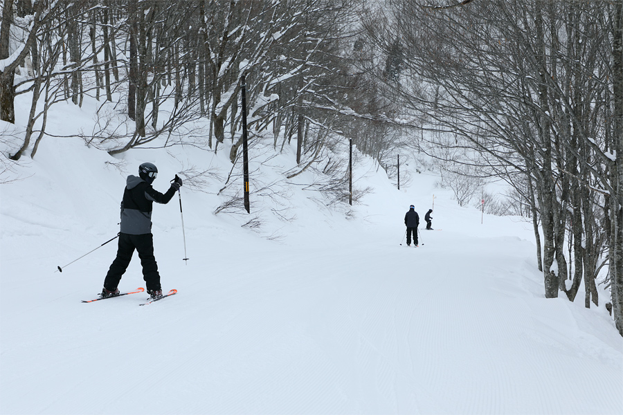 300cm / 雪