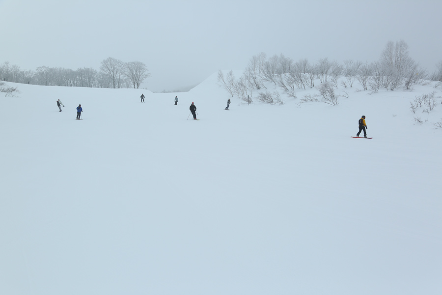 300cm / 雪