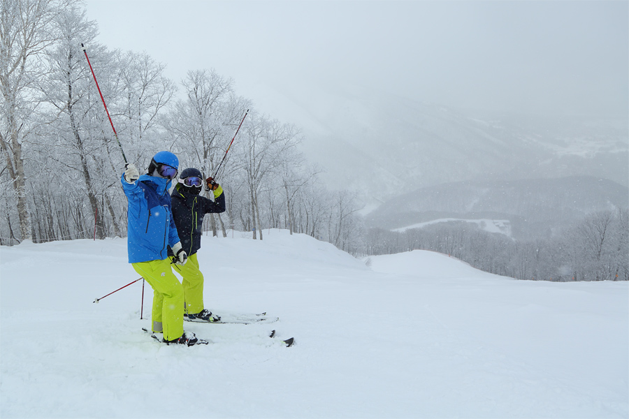 290cm / 雪