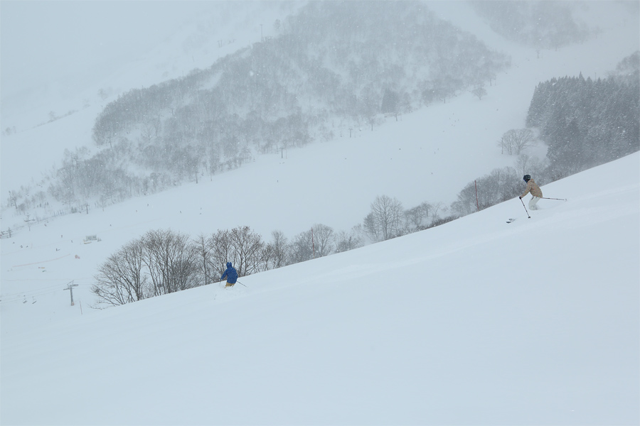 240cm / 雪