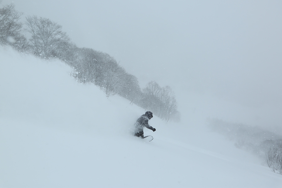 280cm / 雪