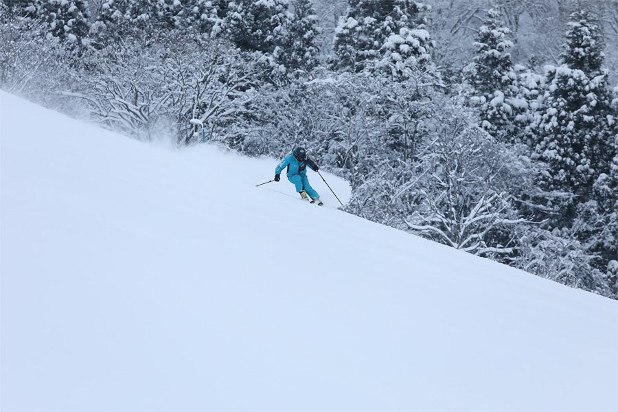 305cm / 雪