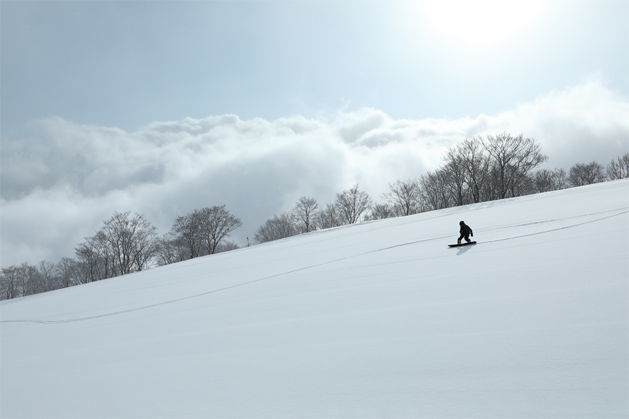 290cm / 雪