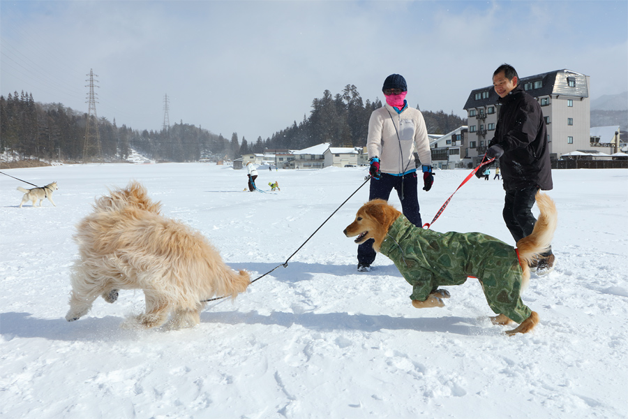 190cm / Snow Clouds