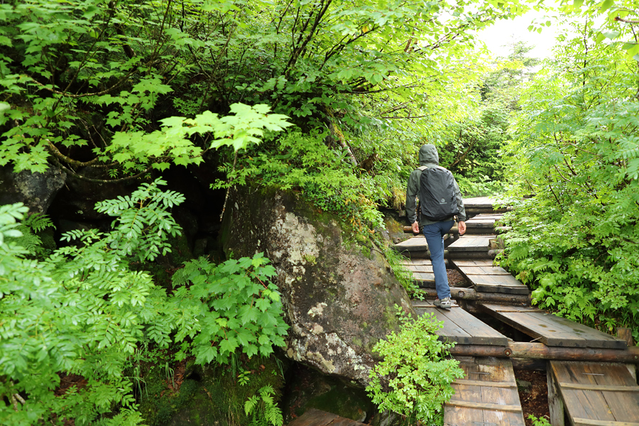 Tsugaike Nature Park / Light Rain