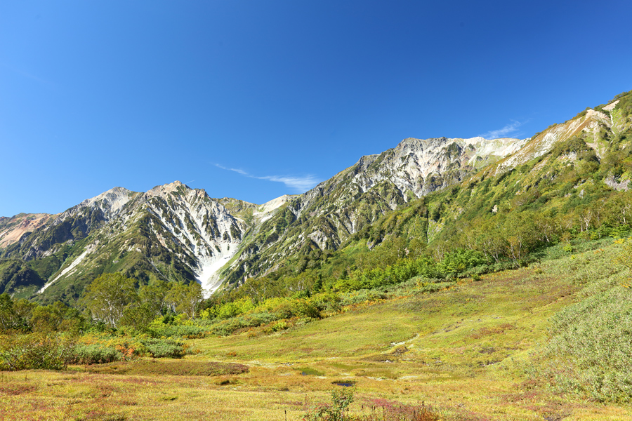 Tsugaike Nature Park / Sunny