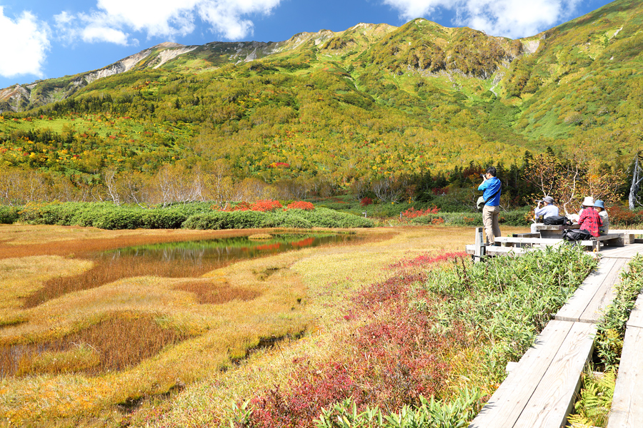 Tsugaike Nature Park / Sunny