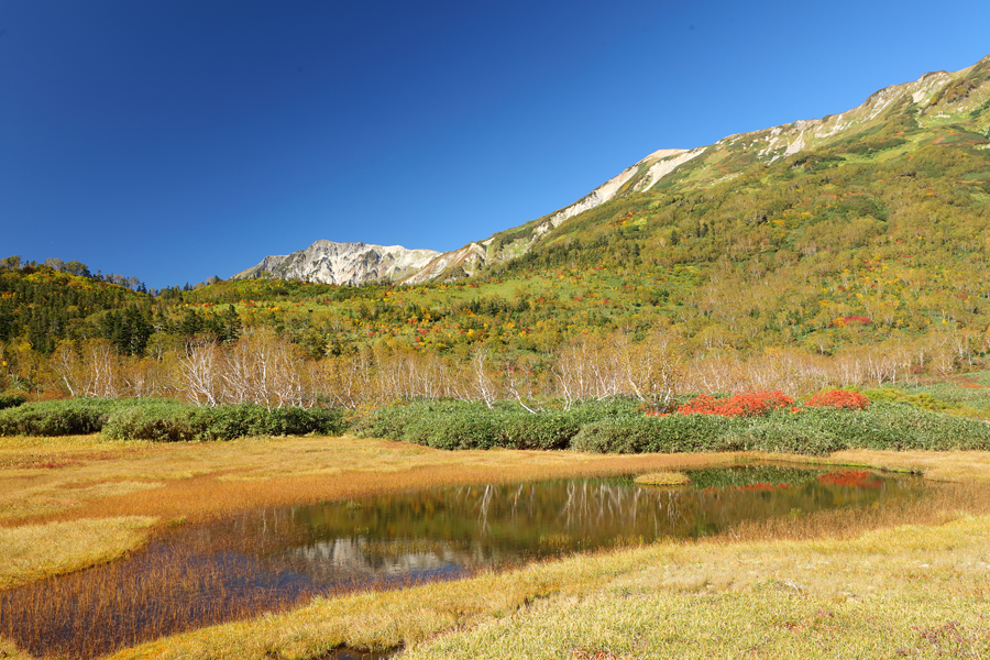 Tsugaike Nature Park / Sunny