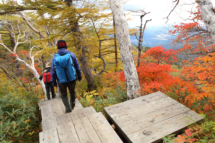 Tsugaike Nature Park / Partly Cloudy