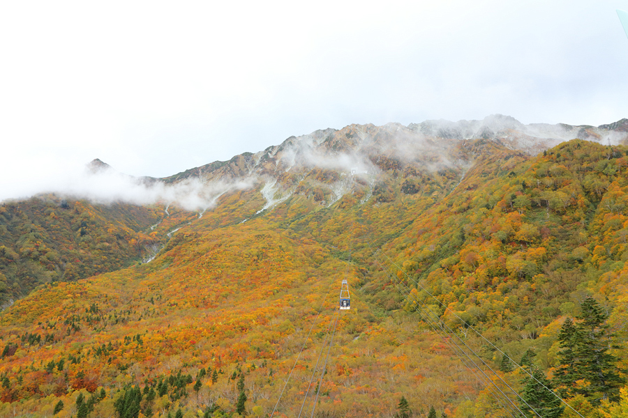 Tateyama Kurobe Alpine Route / Cloudy