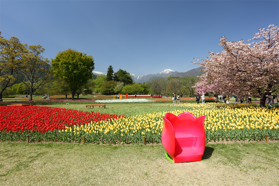 あづみの公園 / 晴