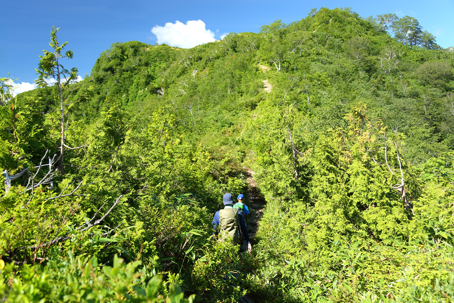 小遠見山 / 晴