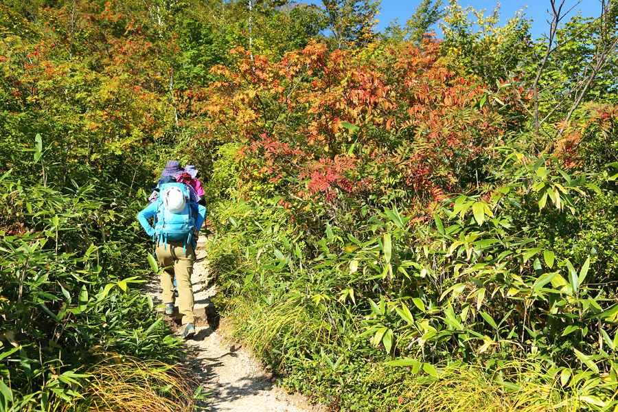 小遠見山 / 晴