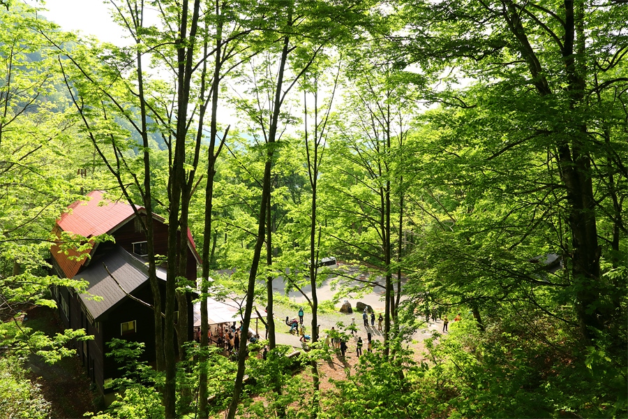 貞逸祭 / 晴