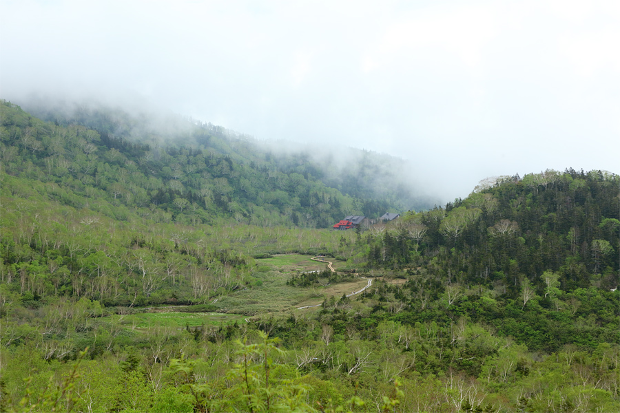 Tsugaike Nature Park / Overcast / Light Rain