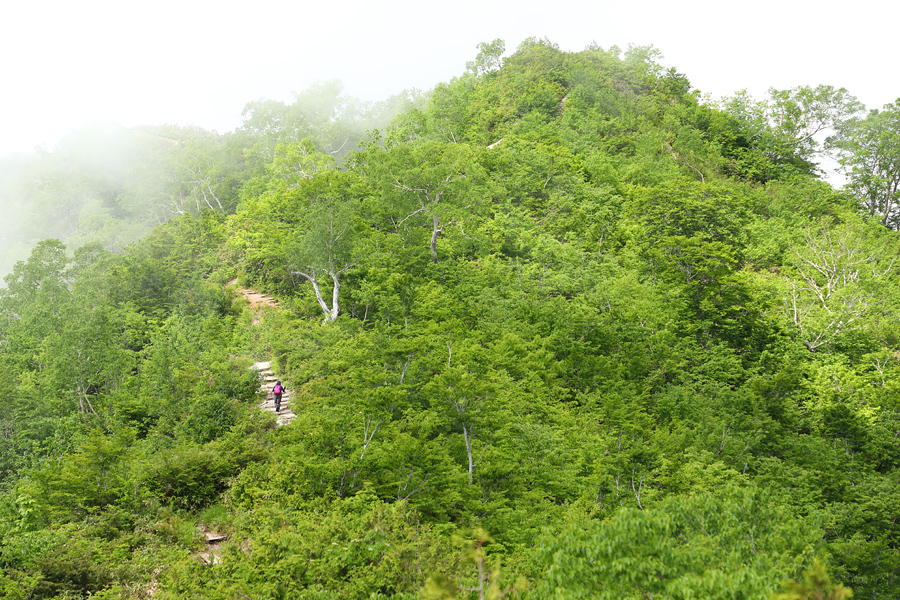 小遠見山 / 曇晴