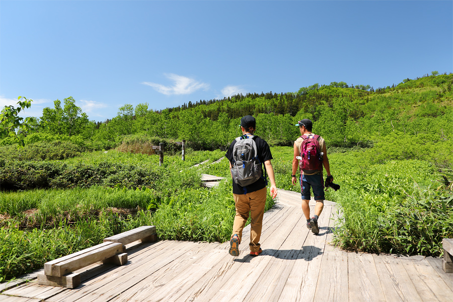 Tsugaike Nature Park / Sunny