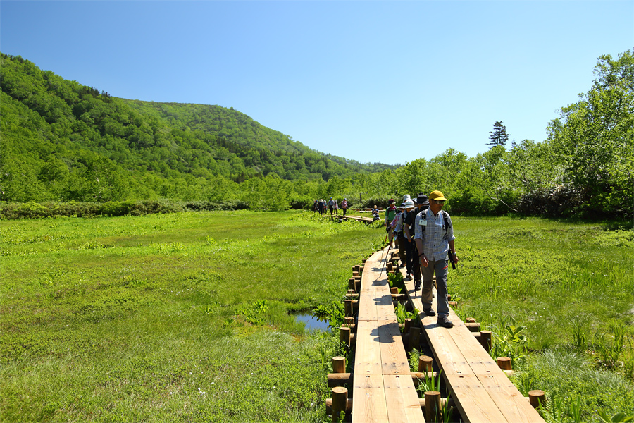 Tsugaike Nature Park / Sunny