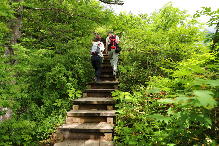 Tsugaike Nature Park / Sunny