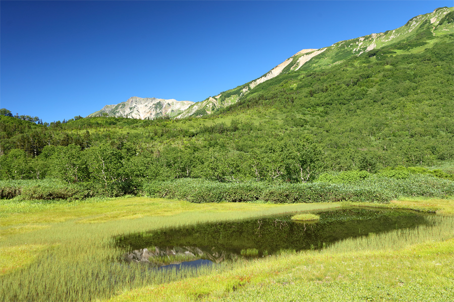 Tsugaike Nature Park / Sunny