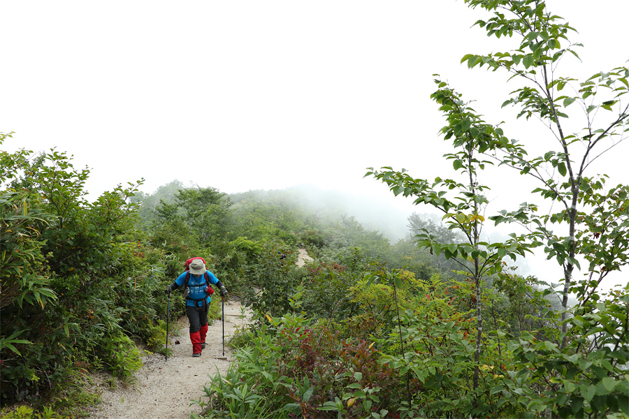 Kotomiyama (Mt. Kotomi) / Partly Cloudy