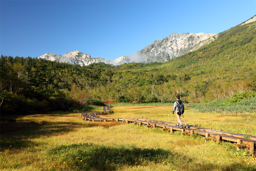 Tsugaike Nature Park / Sunny